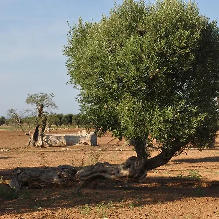Ferienhaus Masseria Lapresentina