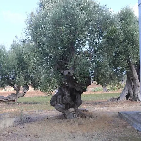 Masseria Lapresentina Ferienhaus